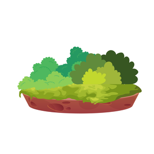Moss Coasters